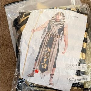Regal Pharaoh male Costume - Black and Gold